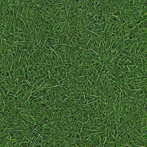 Линолеум бытовой "IVC" Neo Grass 25 (3м) — купить в Самаре