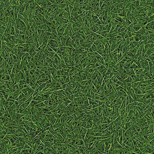 Линолеум бытовой "IVC" Bingo Grass 25 (3м) — купить в Самаре