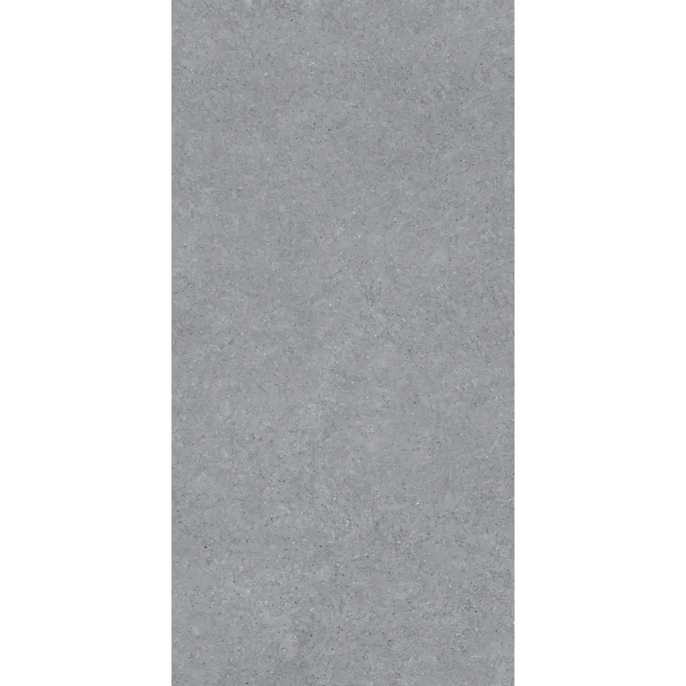 Керамогранит "Sonex" Forever Gris Matt 60x120x0.82 матовый цвет серый камень — купить в Самаре