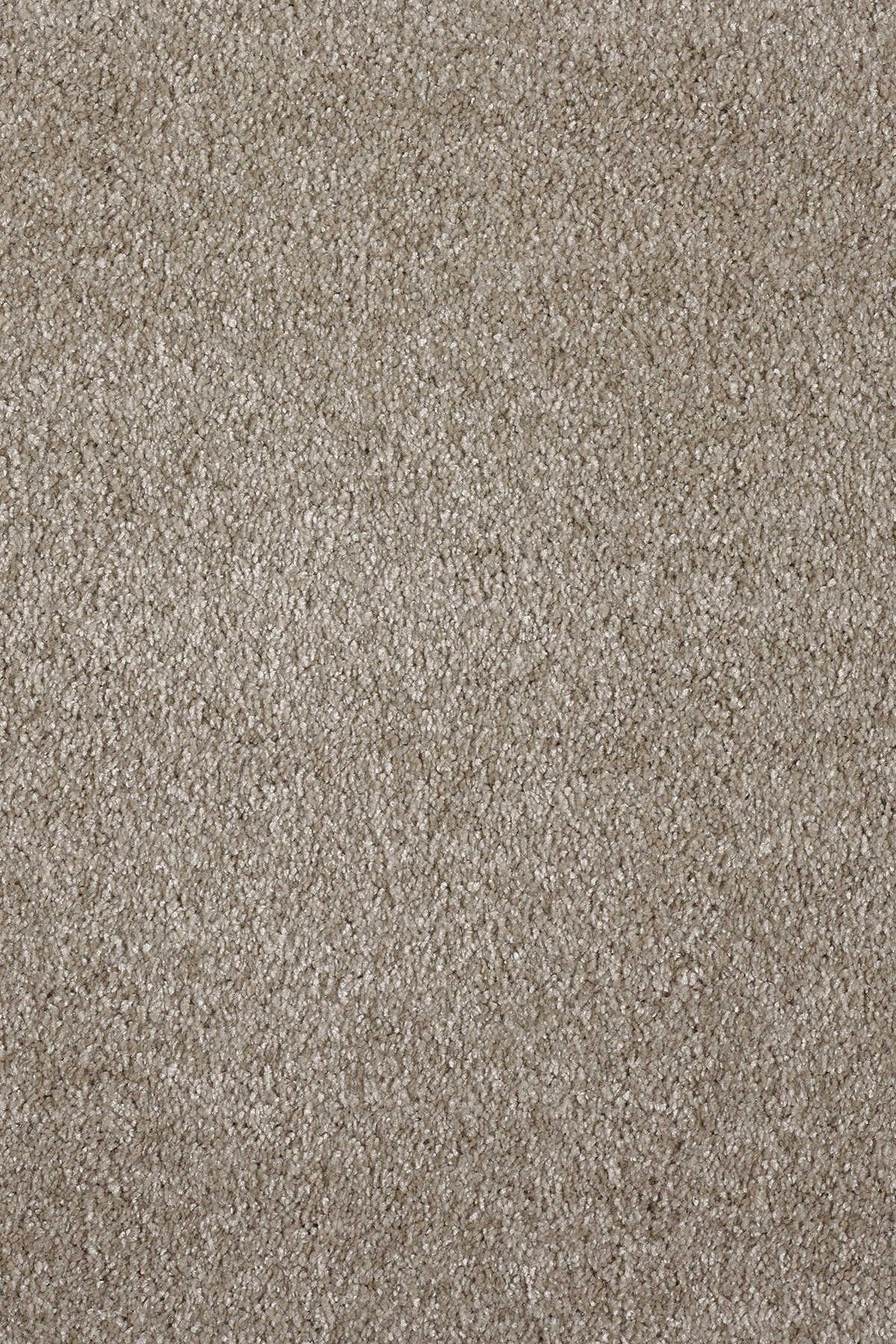 Ковровое покрытие "Bonkeel" Parana 34 (ширина 4м/5м) — купить в Самаре