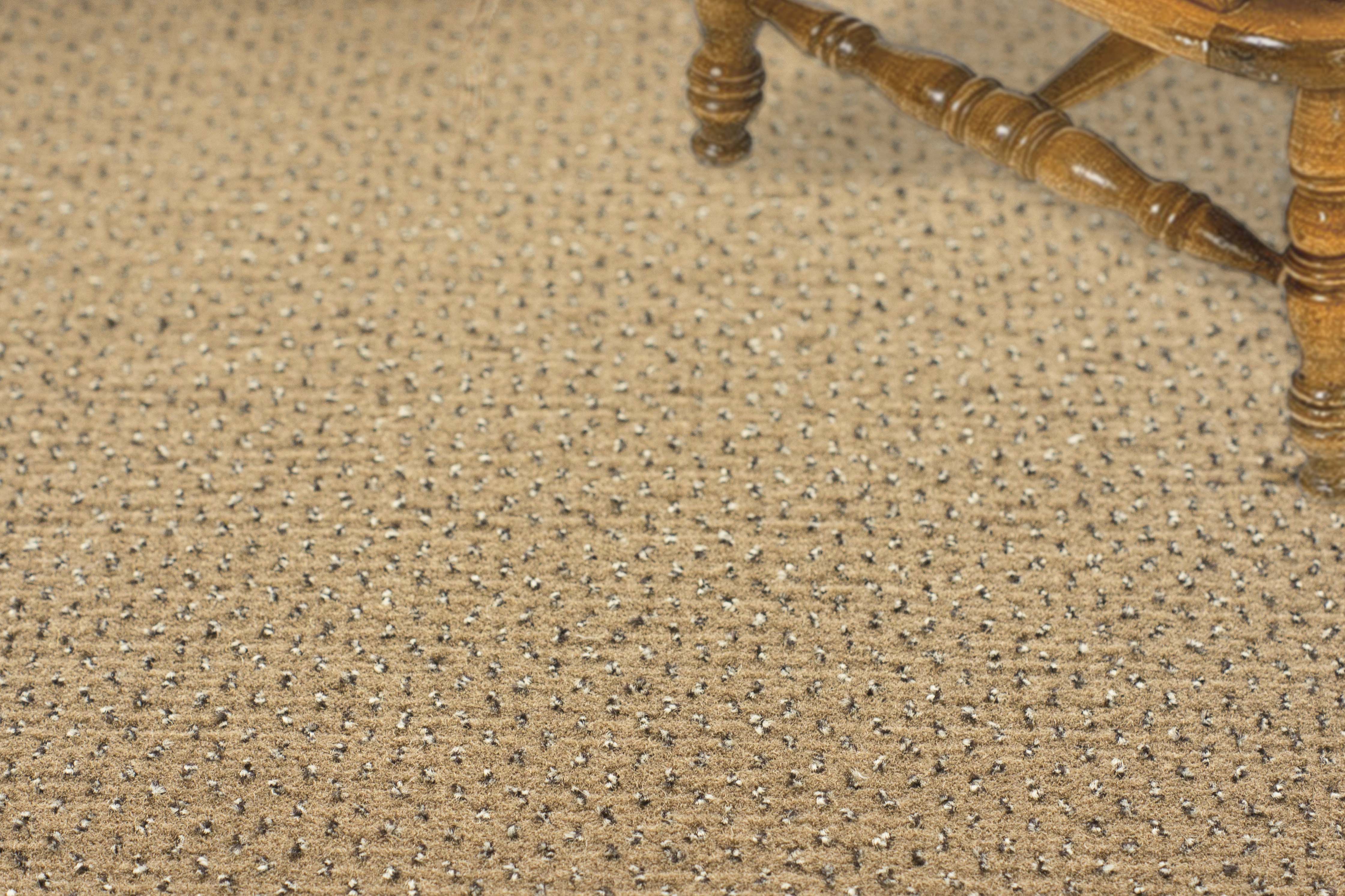 Ковролин "Зартекс" Eternity 142 бежевый (4м) — купить в Самаре