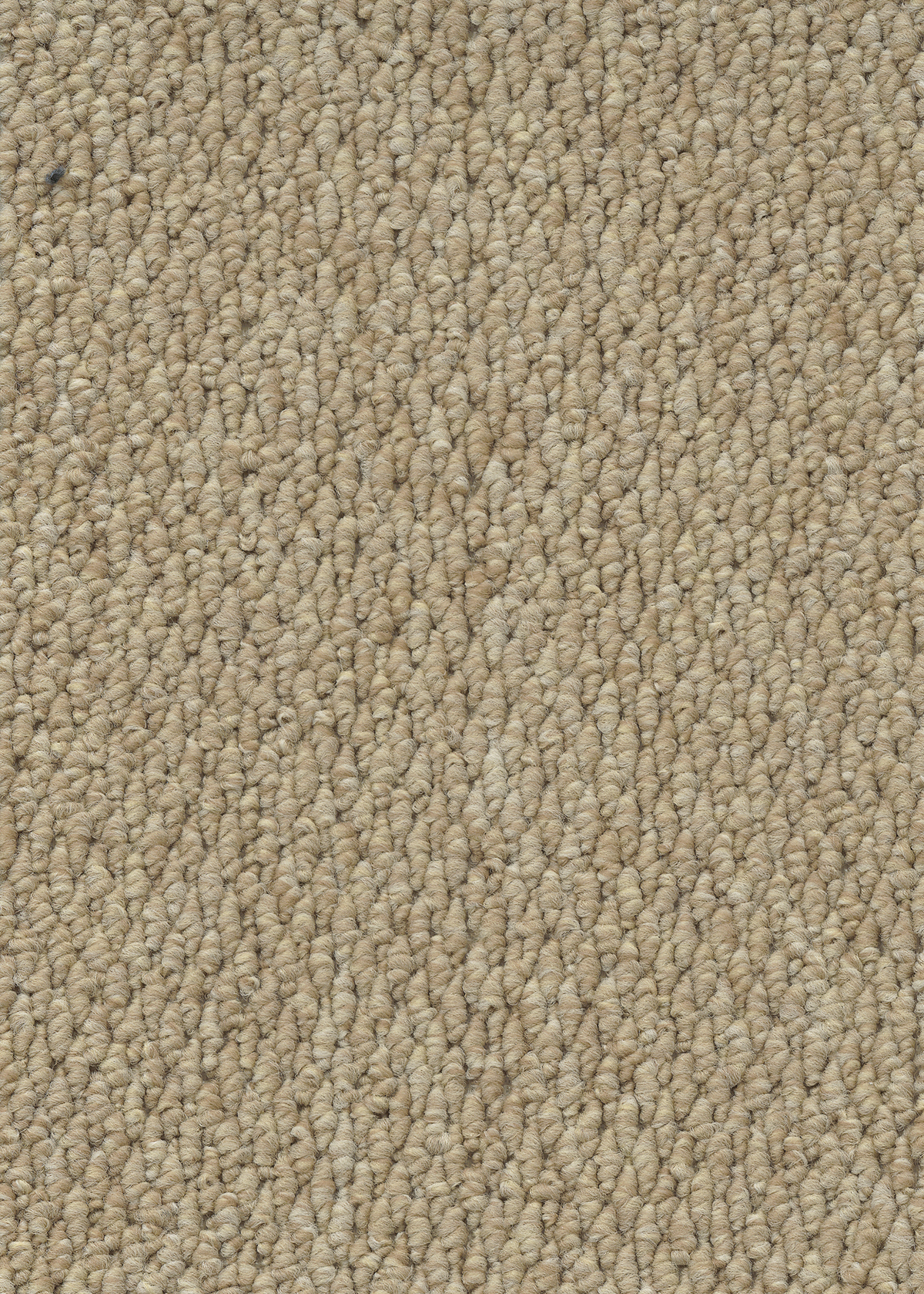 Ковровое покрытие "Bonkeel" Skye 50 (ширина 4м) — купить в Самаре